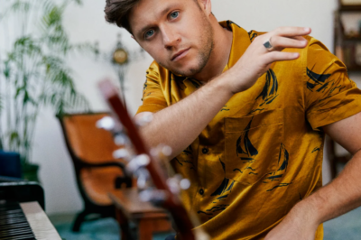 Niall Horan once again brought tears to fans’ eyes as he evoked nostalgia for One Direction with his latest post.