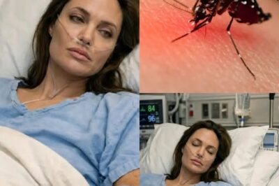 Global Icon in Peril: Angelina Jolie’s “Unprecedented” Medical Battle Leaves Doctors Baffled