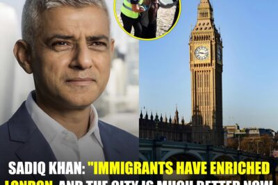 London Mayor Sadiq Khan criticises government immigration reforms