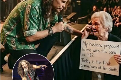The Night Steven Tyler Turned a Concert Into a Moment of GraceWhen the Music Fell Away