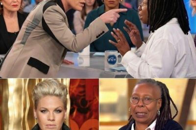 P!nk on The View: How One Appearance Shattered Safe Television Norms