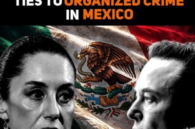 Mexican president considers legal action against Elon Musk over drug cartel accusation