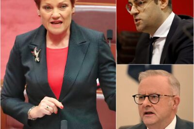 Australian politics erupted when Pauline Hanson publicly sided with Robert Gregory, praising him for “daring to defend true Australians” and attacking Prime Minister Anthony Albanese for being solely concerned with power and personal gain.