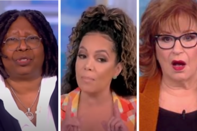 Financial Expert Stuns ‘View’ Blowhards By Saying The Obvious To Their Faces