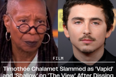 Timothée Chalamet Slammed as ‘Vapid’ and ‘Shallow’ on ‘The View’ After Dissing Opera and Ballet; Whoopi Goldberg Tells Him: ‘Be Careful, Boy… He Is a Boy to Me’