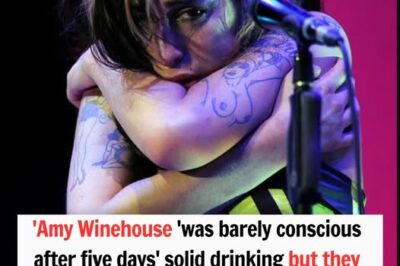 Amy Winehouse ‘was barely conscious after five days’ solid drinking but they picked her off the sofa and put her in a car to go on tour’: Ten years after her death, the singer’s best friend TYLER JAMES raises tough questions for music industry