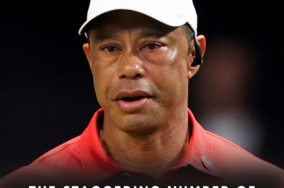 The Staggering Number Of Affairs Tiger Woods Had During His Elin Nordegren Marriage