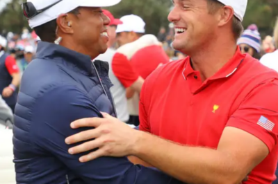 Bryson DeChambeau unexpectedly challenged Tiger Woods with an attractive offer.