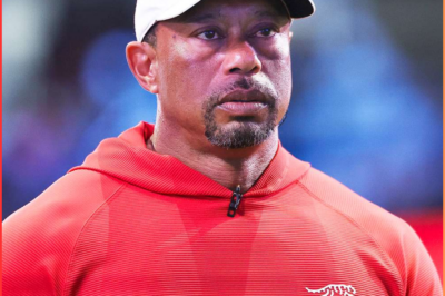 Tiger Woods makes a comeback at the TGL golf tournament: A failure on the course, but a victory in the business of sports.