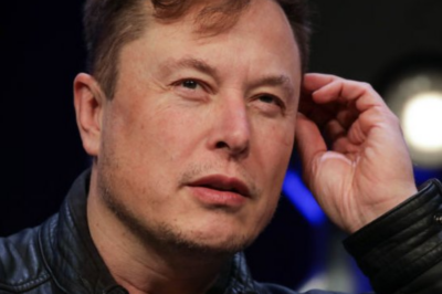 Elon Musk deceived the world: The secret to building an empire of 90 real estate acquisition companies, with at least 37 entities serving only personal purposes.