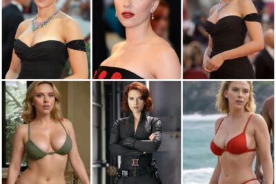 “The world’s sexiest actress” earned over 652 billion VND from just one role.