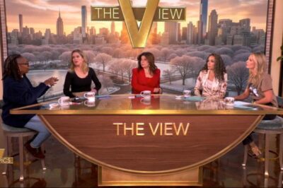Whoopi Goldberg attempts to mediate as Elisabeth Hasselbeck sparks discourse on ‘The View’: “Let’s not do this cross-talk thing”