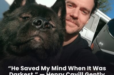 “He Saved My Mind When It Was Darkest.” — Henry Cavill Gently Pets His 100-Pound Akita, Revealing How Kal Kept Him Grounded Through Hollywood’s Most Toxic Storms.