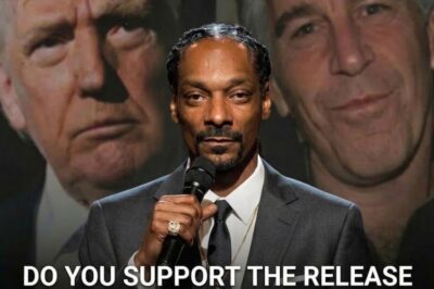 A Call for Transparency: Unraveling the 3.5 Million Pages of Evidence