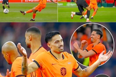 Reijnders with a brilliant goal for Netherlands.