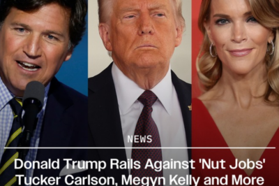 Donald Trump Slams ‘Nut Jobs’ Tucker Carlson, Megyn Kelly, Candace Owens, Alex Jones for Opposing Iran War: ‘They’re Stupid People’