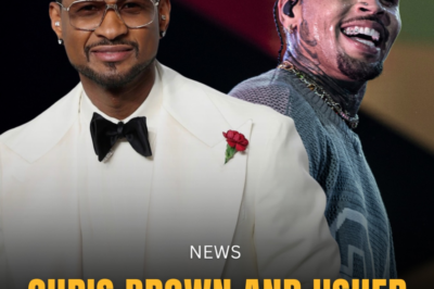 Chris Brown and Usher team up for joint Raymond & Brown tour