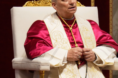 Pope Leo XIV denounces the ‘delusion of omnipotence’ he says fuels the US-Israeli war in Iran