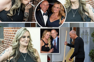 Stormy Daniels looks dramatically different in new photos— as disgraced ex-attorney Michael Avenatti moves to halfway house