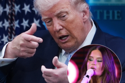 Donald Trump’s fans strongly condemned the country music star for daring to insult the president.