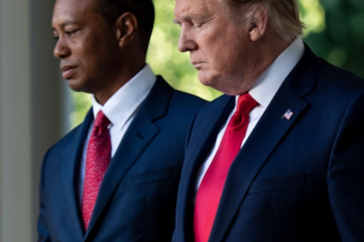 The chances of Tiger Woods being pardoned by Donald Trump are 3%.