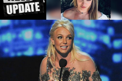 “The judge doesn’t use it, so he wouldn’t understand”: Britney Spears’ strange dance moves in rehab center leave fans bewildered.