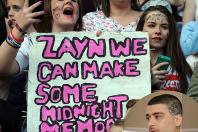 One Direction fans shared a common reaction after witnessing Zayn Malik and Louis Tomlinson’s fight!