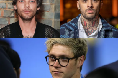 Niall Horan ‘quietly’ sided with Louis Tomlinson in the altercation with Zayn Malik.