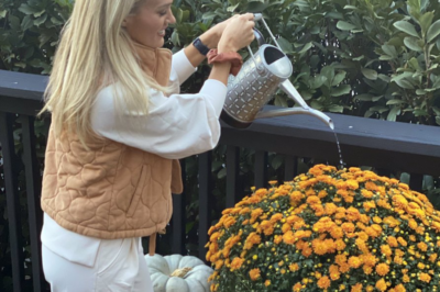 Carrie Underwood stated that she has no worries about life after leaving the Hollywood spotlight because she has her own ranch in Tennessee.