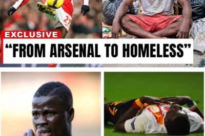 From Global Superstar to Financial Ruin: The Remarkable Survival Story of Arsenal Legend Emmanuel Eboué