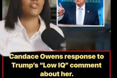 Candace Owens is pushing back after Donald J. Trump reportedly took aim at her and other conservative voices.