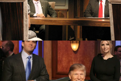 President Donald Trump believes his son, Donald Trump Jr., has what it takes to bring back “The Apprentice.”