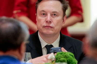 Chinese people are ‘both angry and in love’ with Elon Musk.