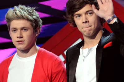Niall Horan ‘refused’ to attend Harry Styles and Zoë Kravitz’s wedding… and here’s why…