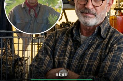 ‘Jurassic Park’ Star Sam Neill Says He’s Now Cancer-Free After Chemo Stopped Working: ‘It Looked Like I Was on the Way Out’