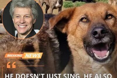 “A VOICE FOR THE VOICELESS”: JON BON JOVI’S $5 MILLION MISSION TO SAVE AMERICA’S ABANDONED DOGS