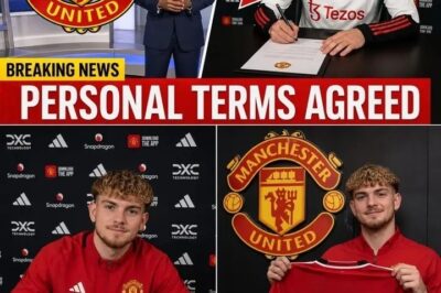 Manchester United Latest Transfer Talk Sparks Questions Amid Summer Plans