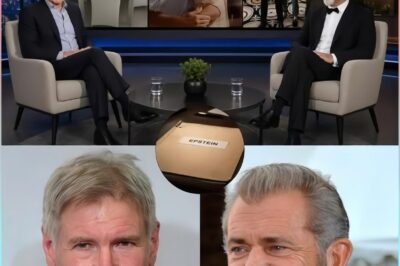 HOLLYWOOD IN CHAOS: VIRAL LIVESTREAM CLAIMS HARRISON FORD AND MEL GIBSON WILL FUND $300 MILLION “REOPENING” OF EPSTEIN FILES AS INTERNET REACHES 1.8 BILLION VIEWS